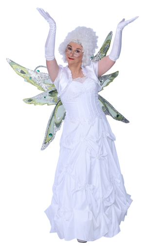 reducedhousefairy